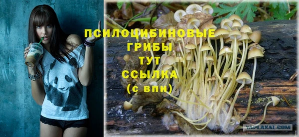 МДПВ Вязьма