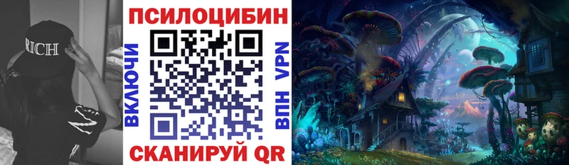 купить закладку Великий Новгород Псилоцибиновые грибы Psilocybe